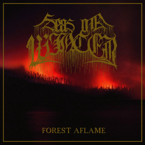 Seas Of Winter : Forest Aflame